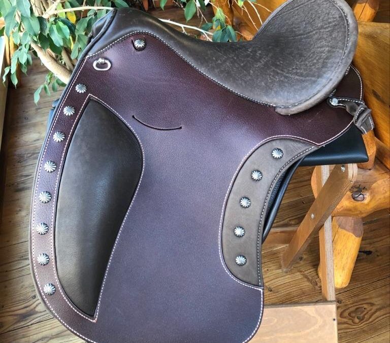 Adjustable saddles; choosing “The One”