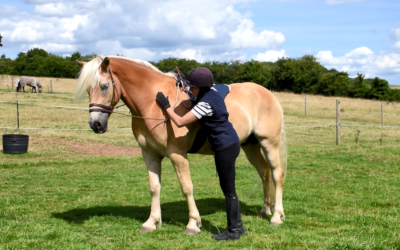 5 easy ways to become a better horseman