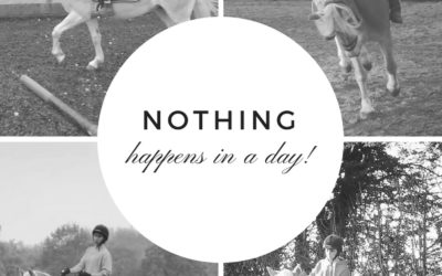 Nothing happens in a day