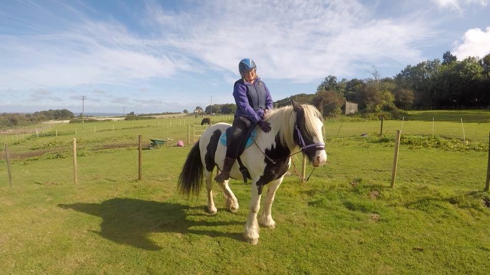 Happy and Relaxed Horse Training