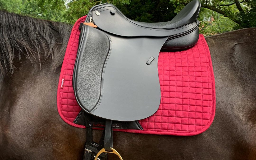 Adjustable Dressage Saddle – The Avante